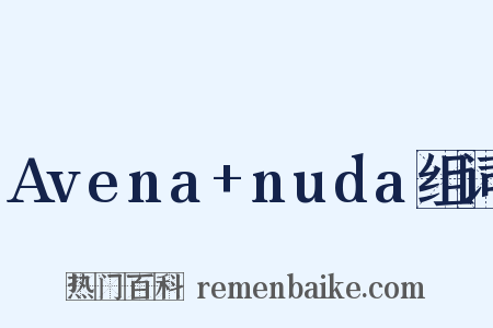 Avena+nuda组词是什么意思的图片